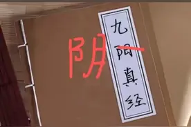 九阴真经里面记录了什么？图片