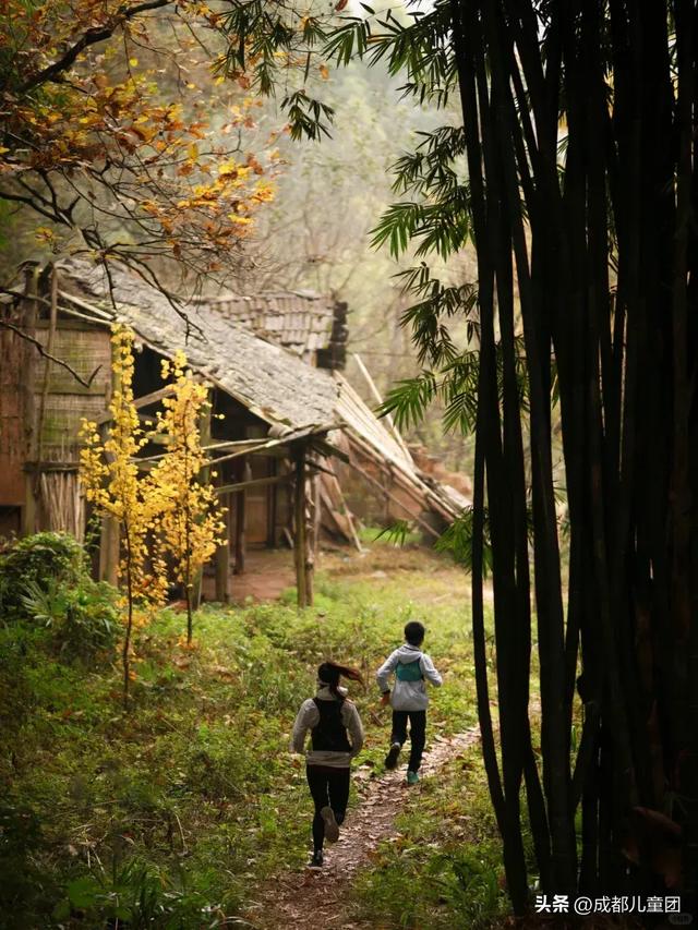 成都周边8条赏秋彩林线，人少景美，12年资深徒步玩家推荐