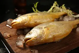 从一网捕捞4900斤大黄鱼，卖了957万，牵扯出渔民的秘密！图片