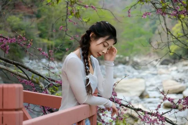 实况直击｜唐家河紫荆盛花期已至 花海打卡拍照直接封神