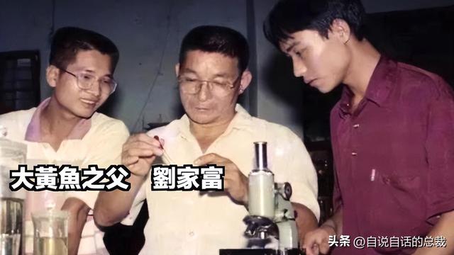 花胶十萬元一斤系什麼胶 2026年一百多一斤的花胶