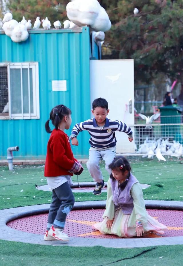 初冬限定!观鸟、彩叶、遛娃一站式,承包全家 “零负担” 快乐