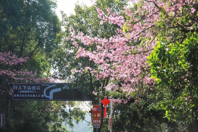 谁懂啊！2026还在路上，我的福气已经在东莞观音山爆仓了~