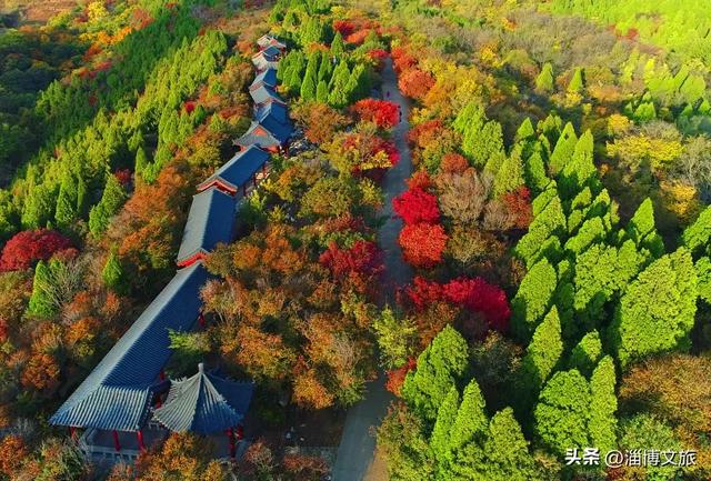 收藏!最美的11月游淄博,这些景区通通免费或优惠!