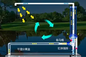 什么是鱼缸过滤系统，过滤形式及优缺点分别是什么？图片