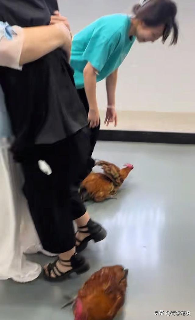 风扇网红结婚仅一天，火速被杨奶奶招募带货，外债或将一次性还清