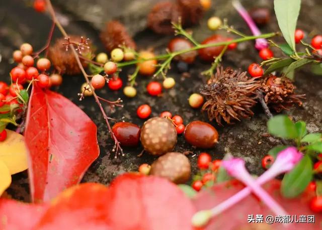 10条初秋徒步线路，去草甸、果园、森林里找秋天