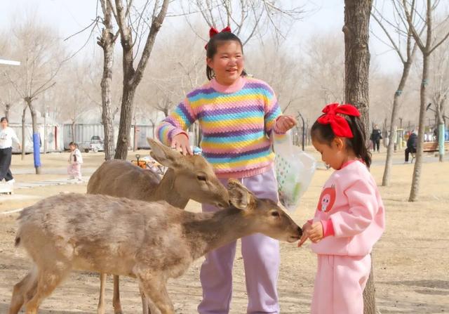 【兵韵春风·踏青惠民】看，鑫诚田园把春天“搬”到你面前！