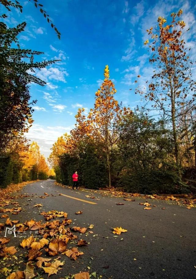 青州这些景致，藏着最动人的温柔