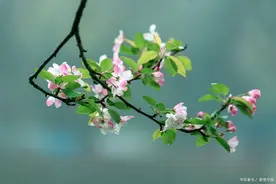 悟透人生的短句，这十句古诗渡人渡己，满含人生哲理图片