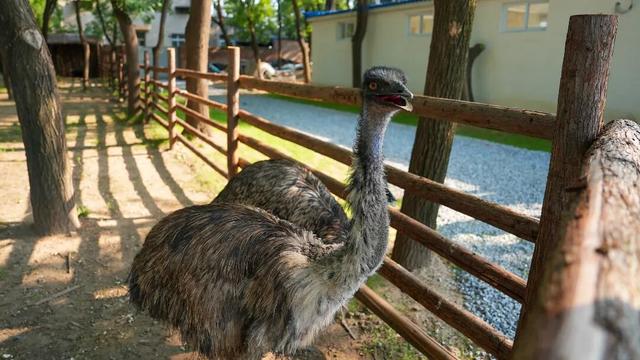 春日漫游正当时！清明假期，105万人次游客打卡丰台