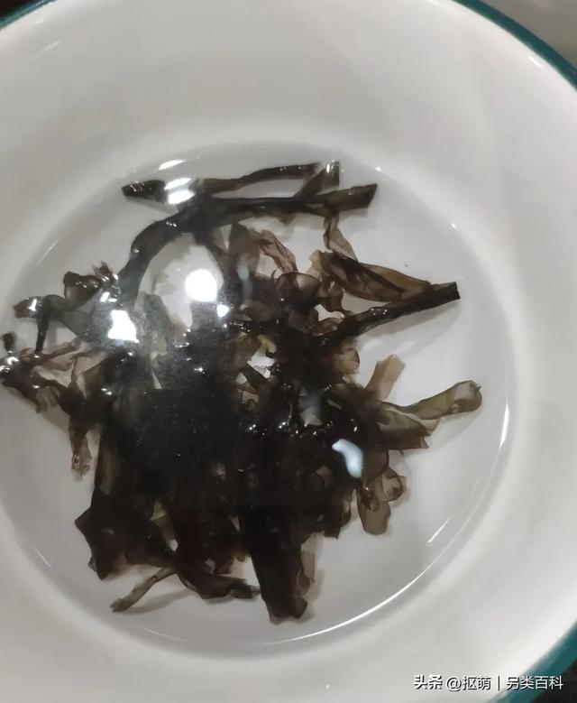 紫菜vs海苔,别再买错了!价格相差好多倍