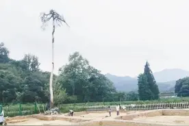 第七座帝后陵“石藏子”！宋六陵考古又有重大发现，绍兴为何多“石藏子”？图片