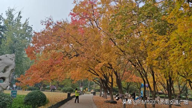 公园景区秋色图鉴，这几处必打卡