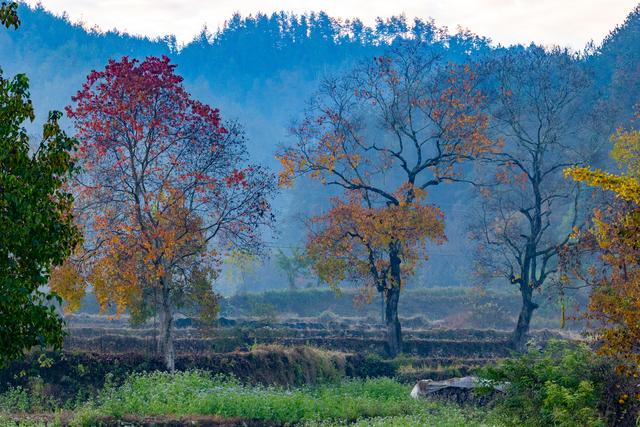 大别山中徐凤冲