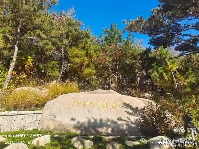 青岛崂山华严寺:山海间的禅意清响|申艳娟