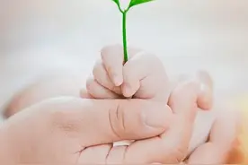 10后的未来，将会是怎么样的人生轨迹呢？图片