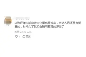 乌鸦才是祥瑞的代表？网友：这么多年我们误会乌鸦了？图片