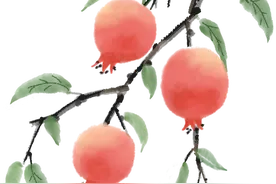 太原市育英中学校2024级高一新生军训须知图片