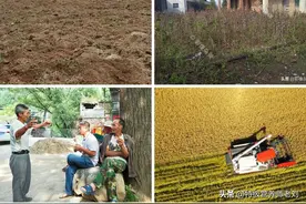 将来肯定出现大量农民不再种地的情况，会发生土地抛荒粮食危机吗图片