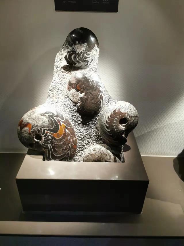 一个村办博物馆，为何能吸引各地游客前去参观？