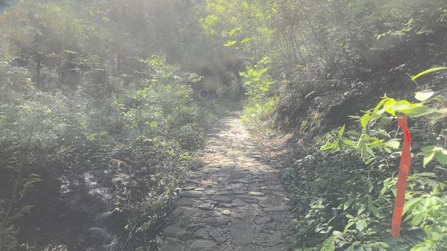 绍兴梅坞古道一条 对新手小白特别友好的线路