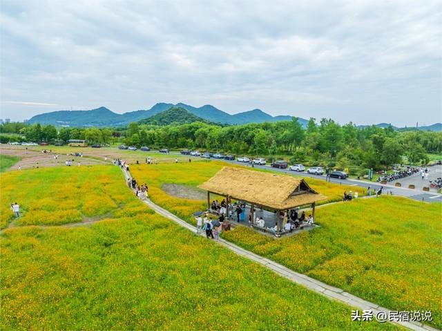 杭州的春天原来这么美，推荐这样玩！