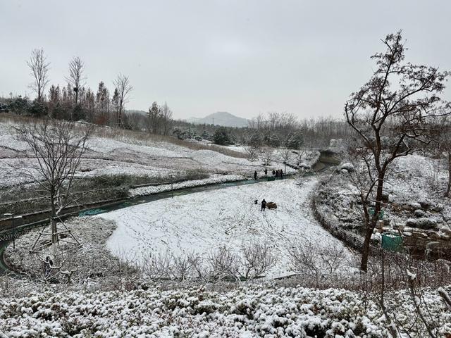 瑞雪飘然而至中国海滨城市青岛