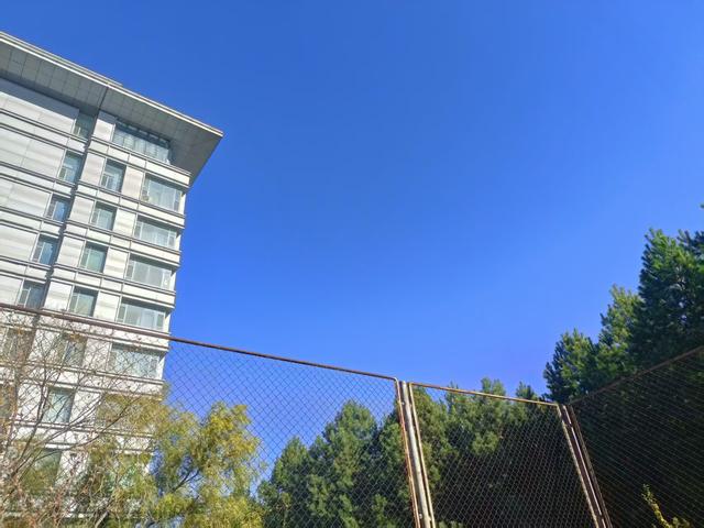 秋花殇