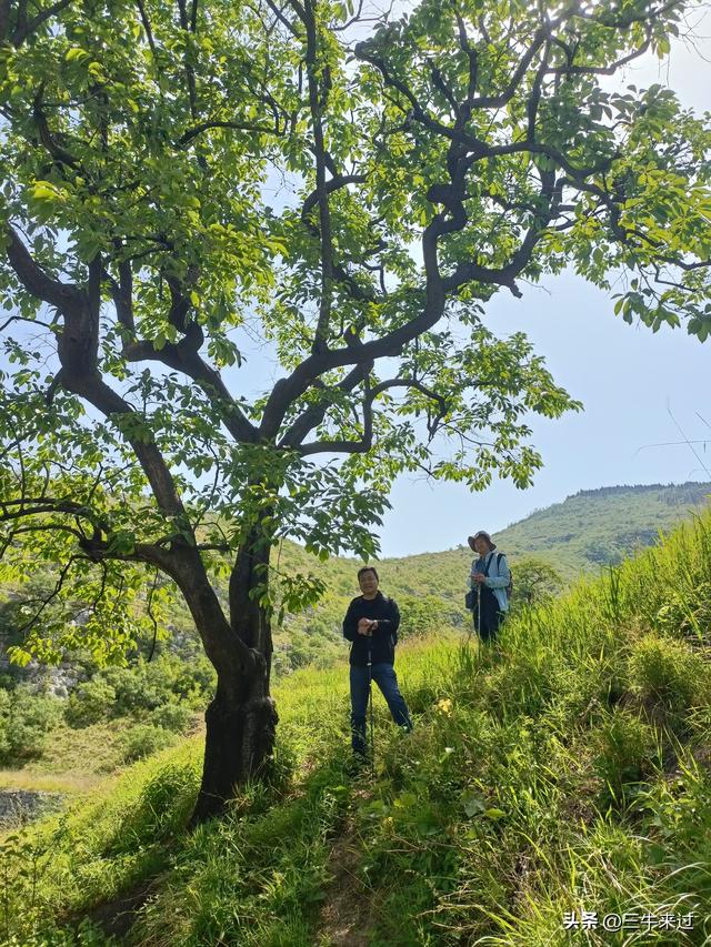 无为在歧路，2025之经行