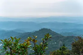 谷城县2025年 (湖北)省(襄阳)市级重点项目图片