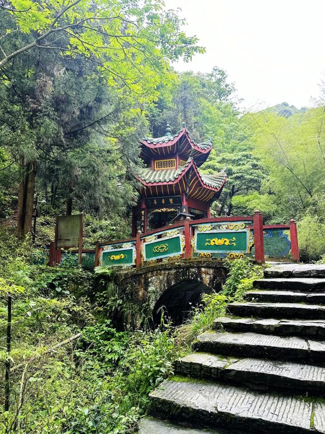 秋冬遛娃“药”新鲜!能吃能玩还能“养”,这条游玩路线一站式拿捏