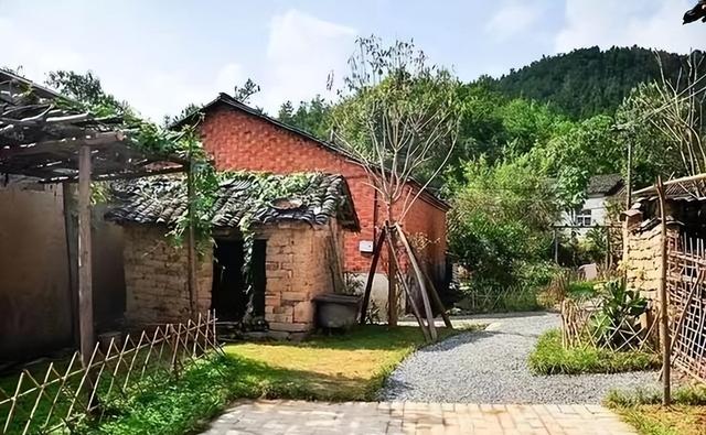 时隔40年，60岁老知青回陕北寻当年初恋，却发现自己早已子孙满堂