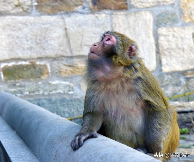江苏12大5A景区终极考验！去过3个算入门，全去过的是真“大神”