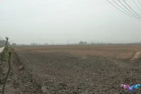 全国土地日 高邮：筑牢良田“耕”基 多措并举实现耕地总量动态平衡图片