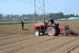 小麦为什么要适期晚播？晚到什么时候播种好？具体时间表可参考图片