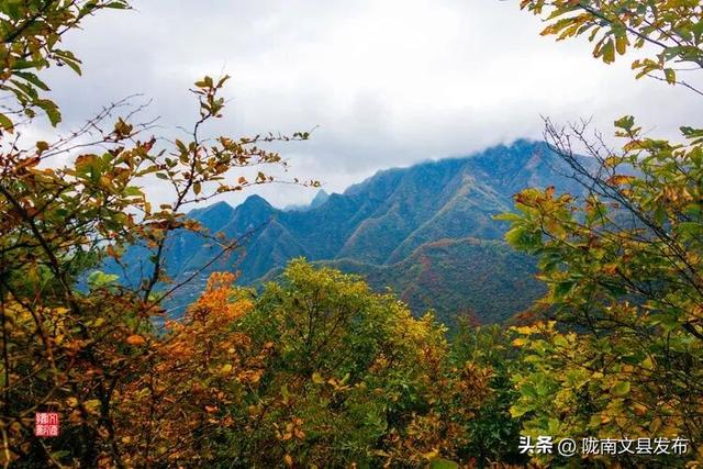 醉美文县：秋色斑斓大岭梁