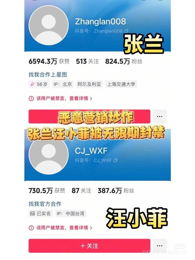 张兰：直播背后的力量与抖音应有的包容