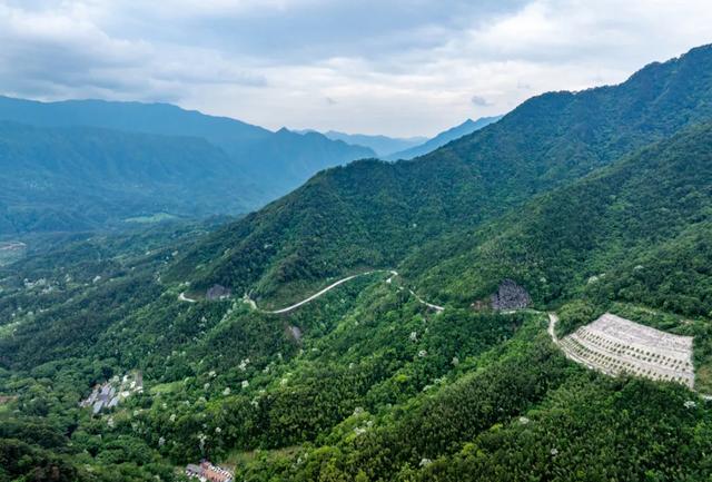 广州一公园走红,被誉为“小九寨沟”,风景优美,拍照很出片