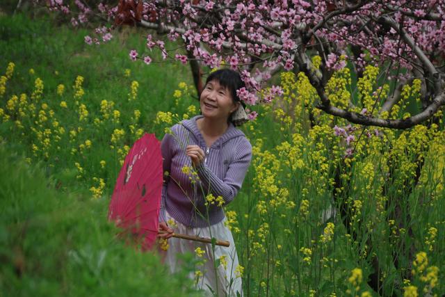 【襄城无处不飞花】桃花朵朵开 桃花岭的明媚春意 等你来解锁!