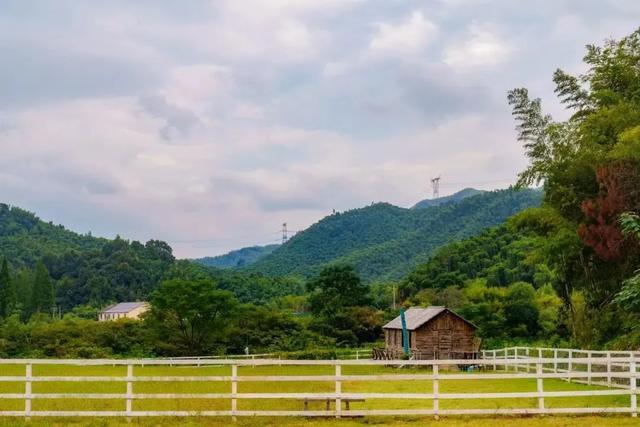 余杭这个村，上榜“杭州十大避暑胜地”！