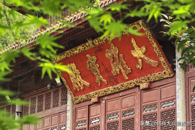 杭州西湖古刹“杜鹃小径”开了，2026春日静谧又好看，快来走走吧