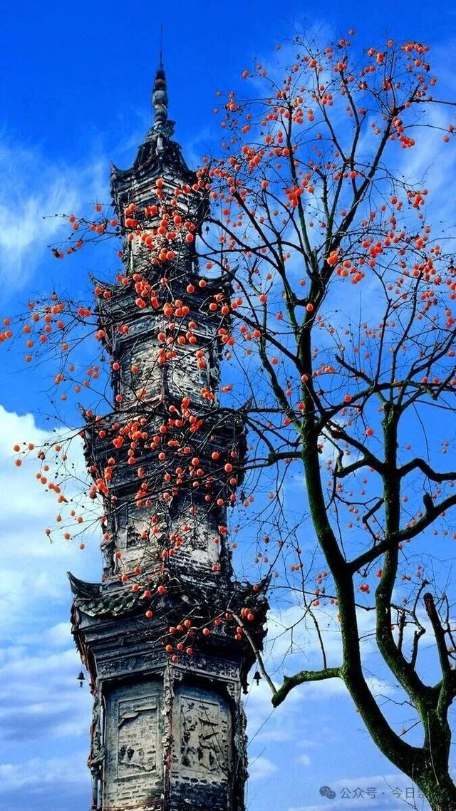 月是蜀州明——国庆中秋出游，一条攻略，玩转崇州！