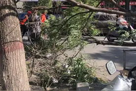 #河南人被大风刮醒了# 河南的风有多“疯”？10级、12级还是13级图片