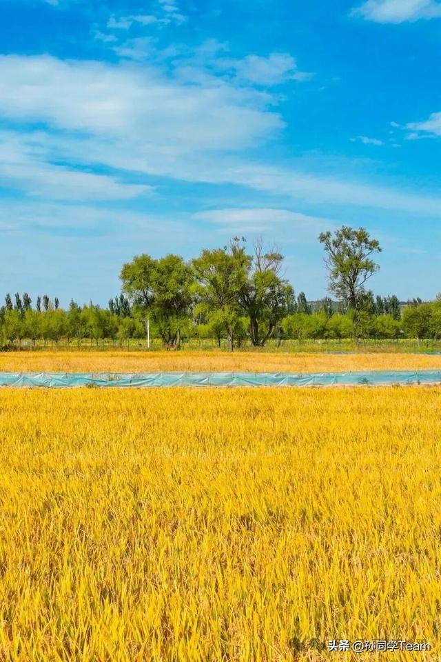 什么是美？文明榆阳给你答案