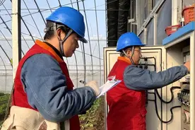 寒潮之下，他们这样守护“菜篮子”！图片