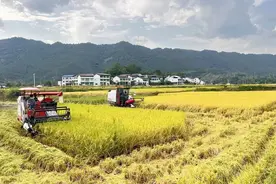 从“国贫县”跻身全国“百强县” ！解码县域经济高质量发展的“宣汉实践”图片