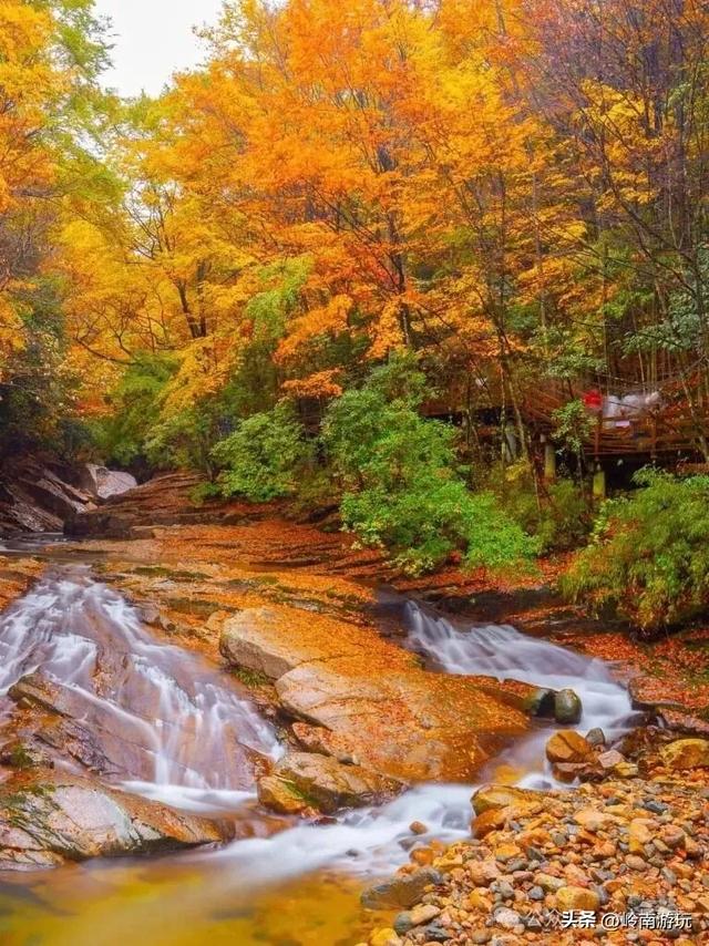 陕西各地最经典的赏秋景点，人少景美还省钱，错过就要再等一年！
