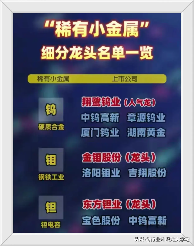 值得珍藏：国产替代科技+存储芯片+稀有小金属+智能电网+服务器等