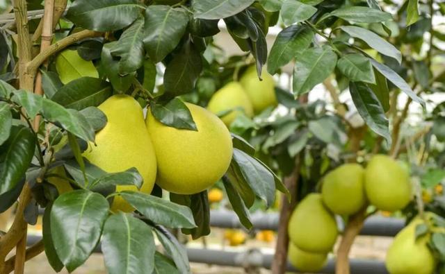 太全面了！8条游玩线路+京郊汤泉！带您玩转北京这里！（1）